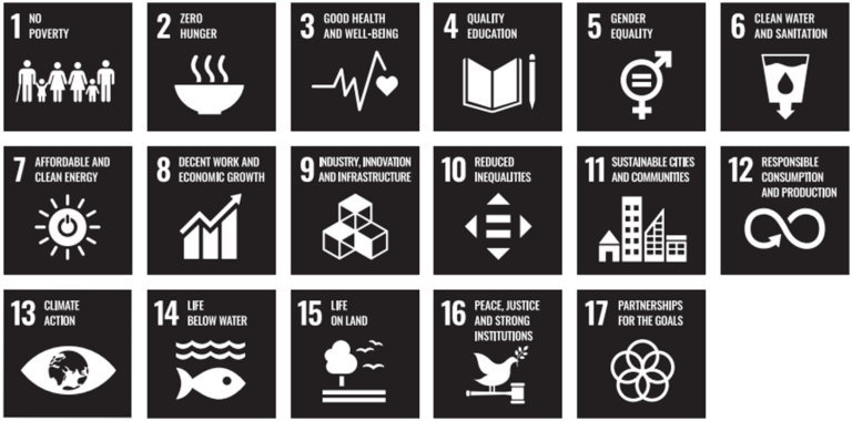 FejiRun's Commitment to the 2030 Agenda Driving Sustainable Development and Global Impact